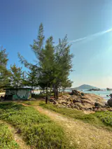 Trilha de areia entre a vegetação de restinga até a Praia da Ferrugem