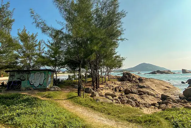 Trilha entre a restinga e as pedras com o mar e as ilhas ao fundo, perto da Praia da Ferrugem